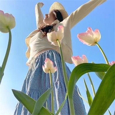 慈善星辉布公仔